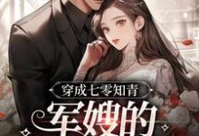 主人公叫李柒柒黎宴的小说哪里免费看-乐读文学