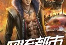 完结版《风流都市之盗帅》章节阅读-乐读文学