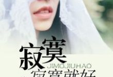 完结版《寂寞寂寞就好》章节阅读-乐读文学