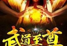 完结版《武道至尊》章节阅读-乐读文学