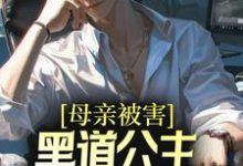 已完结小说《母亲被害,黑道公主扶我登高位》在线章节阅读-乐读文学