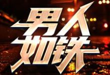 王新生巧姐的故事在哪本书里？免费阅读男人如铁-乐读文学