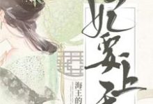 完结版《妃要上天》在线免费阅读-乐读文学