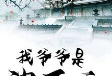 我爷爷是沈万三沈森森儿小说在线章节免费阅读-乐读文学