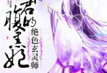 哪里能找到绝色玄灵师:邪君的腹黑妃小说的全部章节?-乐读文学