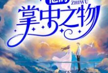 在线搜索江沉许念的完整小说,免费阅读他的掌中之物-乐读文学
