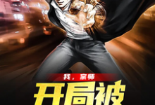 我，宗师，开局被直播曝光免费阅读，我，宗师，开局被直播曝光章节在线阅读-乐读文学