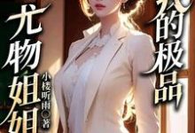 已完结小说《我的极品尤物姐姐》最新章节-乐读文学