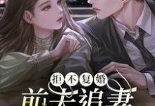 小说《拒不复婚:前夫追妻杀疯了》在线章节阅读-乐读文学