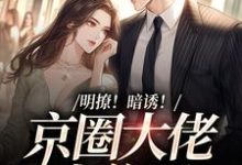 明撩!暗诱!京圈大佬上位了小说免费资源,明撩!暗诱!京圈大佬上位了在线阅读-乐读文学