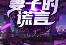 完结版《妻子的谎言》章节阅读-乐读文学
