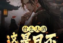 哪里可以免费读到朱桂朱元璋的完整故事?寻找什么大清,这是日不落大明-乐读文学