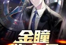 沈睿杨丽是哪本书的主角?寻找金瞳鉴宝师免费阅读-乐读文学