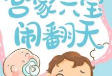 免费阅读冷惜月宫心逸司马蕙兰为主角的小说,宫家六宝闹翻天在线看-乐读文学
