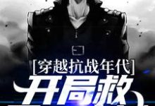 在线寻找穿越抗战年代,开局救下一座城小说的无删减版本-乐读文学