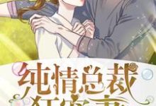 主人公苗一夕狄高阳小说纯情总裁狂宠妻在线章节阅读-乐读文学