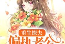 主角岑挽陆北恂小说重生撩夫:偏执老公心肝狂颤免费阅读-乐读文学