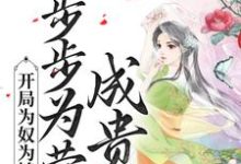 开局为奴为婢,步步为营成贵妃小说的无弹窗阅读体验,寻找免费阅读网站-乐读文学