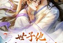 世子他夜夜翻墙偷香这本小说怎么样?免费在线阅读试试-乐读文学