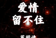 蓝阅读是哪本书的主角?爱情留不住免费读-乐读文学