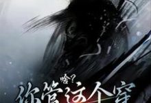 《啥?你管这个穿布衣的叫剑仙》小说大结局免费试读 凌清风小说-乐读文学
