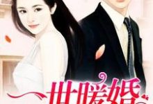 小说《一世暖婚》在线章节阅读-乐读文学