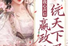 主人公叫嬴政琉璃的小说哪里免费看-乐读文学