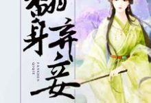 翻身弃妾小说的免费电子版在哪里可以下载或阅读?-乐读文学