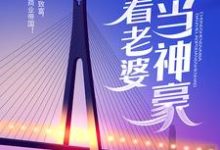 免费阅读叶辰陈一诺为主角的小说,重生奶爸,带着老婆当神豪在线看-乐读文学