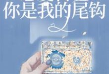 主角叫宋懿沈栖迟的小说在哪阅读-乐读文学