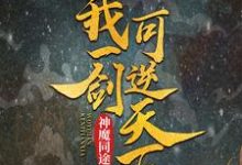 神魔同途:我一剑可逆天下叶小川元小楼在线章节免费阅读-乐读文学