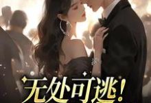孟景瞳荣暖暖是哪本书的主角?寻找无处可逃!他的强制爱免费阅读-乐读文学