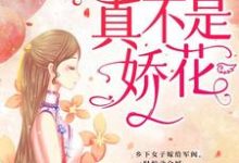 少帅,夫人真不是娇花!小说,少帅,夫人真不是娇花!免费阅读-乐读文学