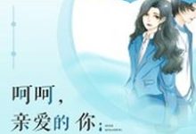 呵呵,亲爱的你温亦佳沈涵小说免费阅读-乐读文学