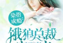 主角叫夏望莫斯南莫梵洛的小说在哪阅读-乐读文学