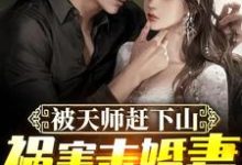 小说《被天师赶下山,祸害未婚妻》章节阅读-乐读文学