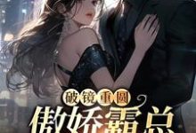 破镜重圆:傲娇霸总别太宠这本小说怎么样?免费在线阅读试试-乐读文学