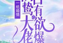 一纸婚情:阴鸷大佬占有欲爆表免费阅读,一纸婚情:阴鸷大佬占有欲爆表章节目录-乐读文学