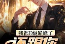 完结版《我都E级巅峰了,还跟你讲道理?》在线免费阅读-乐读文学