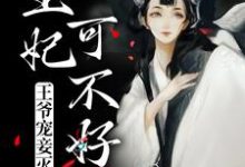 王爷宠妾灭妻,王妃可不好惹免费阅读,王爷宠妾灭妻,王妃可不好惹章节在线阅读-乐读文学