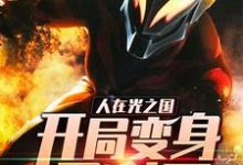 《人在光之国:开局变身贝利亚》小说章节在线试读,《人在光之国:开局变身贝利亚》最新章节目录-乐读文学
