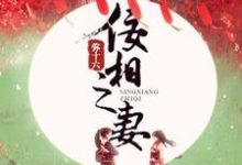已完结小说《佞相之妻》最新章节-乐读文学