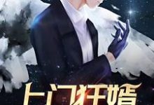 小说《上门狂婿》在线章节阅读-乐读文学