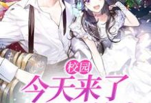 校园:今天来了一个转校生这本小说在哪里可以看?哪里有免费试读章节?-乐读文学