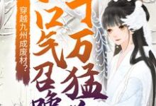 求穿越九州成废材?她一口气召唤十万猛兽小说的全文免费阅读链接-乐读文学
