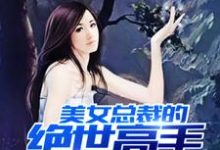 叶轩苏晴为主角的小说好看吗?免费读美女总裁的绝世高手-乐读文学