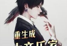 哪里能找到重生成大音乐家小说的全部章节?-乐读文学