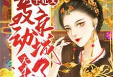 天才弃妃:王妃又轰动京城了千月兮花夜宸小说在线章节免费阅读-乐读文学