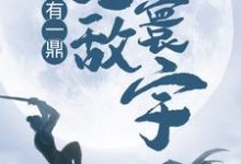 我有一鼎,无敌寰宇小说的无弹窗阅读体验,寻找免费阅读网站-乐读文学