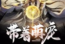 带着萌宠去寻宝黎念宋城朱雀加宁小说在线章节目录阅读最新章节-乐读文学